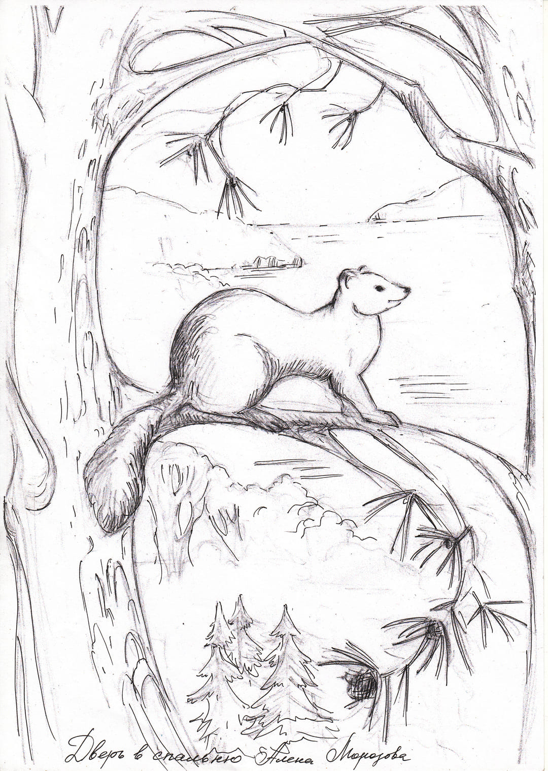 Эскиз резной двери